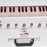 White Safri Harmonium- 3½ Octaves By Kaayna Musicals-Portable, Traveler, Baja, 9 Stops- 4 Drone, Bass/Male Reeds, Gig Bag, Tuning: 440Hz - Image 6