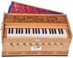 Harmonium Pro Grade By Kaayna Musicals, 9 Stops- 5 Main, 4 Drone, 3&frac12; Octaves, Teak Color, Beautiful Bellow, Coupler, Gig Bag &ndash; 440 Hz - Image 5