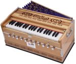 Harmonium Pro Grade By Kaayna Musicals, 11 Stops- 6 Main & 5 Drone, 3&frac12; Octaves, Teak Colour, Flower Bellow, Coupler, Gig Bag &ndash; 440 Hz - Image 6